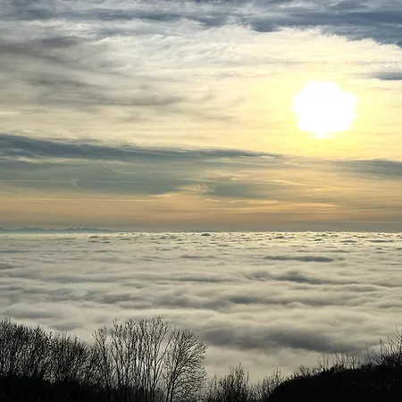 Apartman Cozy Bayerwald Am Waldrand Netflix Pool Sauna - Alpenblick Freyung