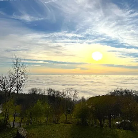 Cozy Bayerwald Am Waldrand Netflix Pool Sauna - Alpenblick شقة *